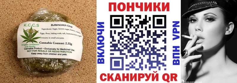 закладки  Циолковский  Cannafood конопля 