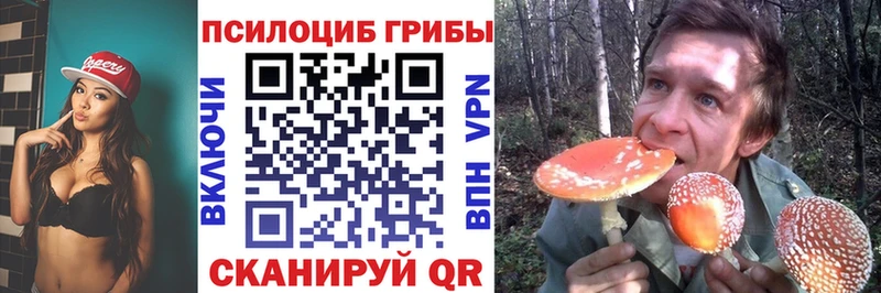 Галлюциногенные грибы Magic Shrooms  где продают наркотики  mega онион  Циолковский 